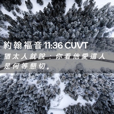 Picture 02 - 約 翰 福 音 11:36 CUVT - 猶 太 人 就 說 ： 你 看 他 愛 這 人 - Bible Verse Picture