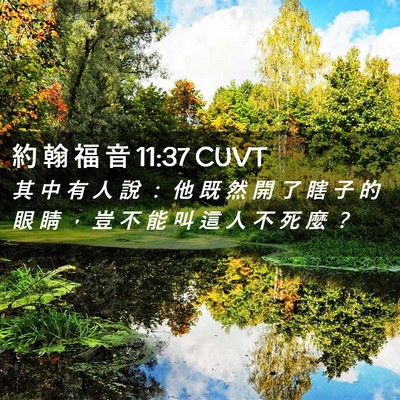 Picture 02 - 約 翰 福 音 11:37 CUVT - 其 中 有 人 說 ： 他 既 然 開 了 瞎 - Bible Verse Picture