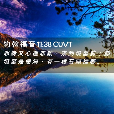 Picture 02 - 約 翰 福 音 11:38 CUVT - 耶 穌 又 心 裡 悲 歎 ， 來 到 墳 墓 - Bible Verse Picture