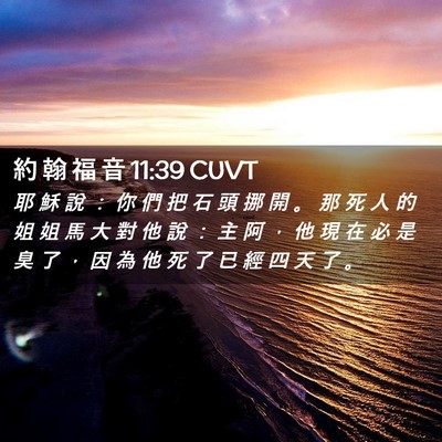 Picture 02 - 約 翰 福 音 11:39 CUVT - 耶 穌 說 ： 你 們 把 石 頭 挪 開 。 - Bible Verse Picture
