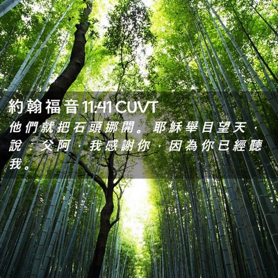 Picture 02 - 約 翰 福 音 11:41 CUVT - 他 們 就 把 石 頭 挪 開 。 耶 穌 舉 - Bible Verse Picture