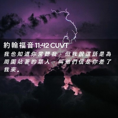 Picture 02 - 約 翰 福 音 11:42 CUVT - 我 也 知 道 你 常 聽 我 ， 但 我 說 - Bible Verse Picture