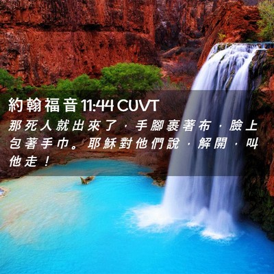 Picture 02 - 約 翰 福 音 11:44 CUVT - 那 死 人 就 出 來 了 ， 手 腳 裹 著 - Bible Verse Picture