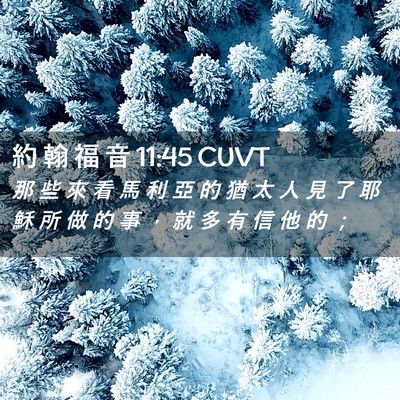 Picture 02 - 約 翰 福 音 11:45 CUVT - 那 些 來 看 馬 利 亞 的 猶 太 人 見 - Bible Verse Picture