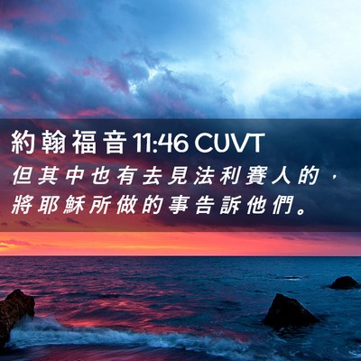 Picture 02 - 約 翰 福 音 11:46 CUVT - 但 其 中 也 有 去 見 法 利 賽 人 的 - Bible Verse Picture