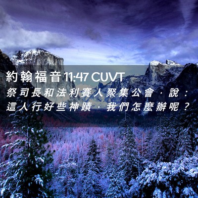 Picture 02 - 約 翰 福 音 11:47 CUVT - 祭 司 長 和 法 利 賽 人 聚 集 公 會 - Bible Verse Picture
