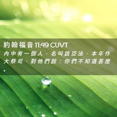 Picture 02 - 約 翰 福 音 11:49 CUVT - 內 中 有 一 個 人 ， 名 叫 該 亞 法 - Bible Verse Picture