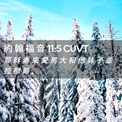 Picture 02 - 約 翰 福 音 11:5 CUVT - 耶 穌 素 來 愛 馬 大 和 他 妹 子 並 - Bible Verse Picture