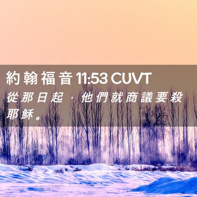 Picture 02 - 約 翰 福 音 11:53 CUVT - 從 那 日 起 ， 他 們 就 商 議 要 殺 - Bible Verse Picture