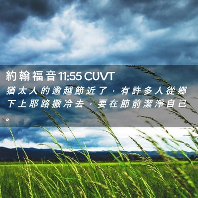Picture 02 - 約 翰 福 音 11:55 CUVT - 猶 太 人 的 逾 越 節 近 了 ， 有 許 - Bible Verse Picture