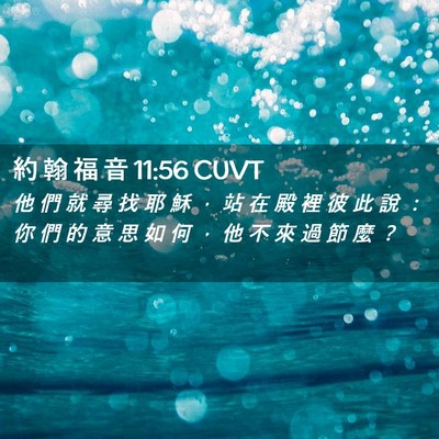 Picture 02 - 約 翰 福 音 11:56 CUVT - 他 們 就 尋 找 耶 穌 ， 站 在 殿 裡 - Bible Verse Picture