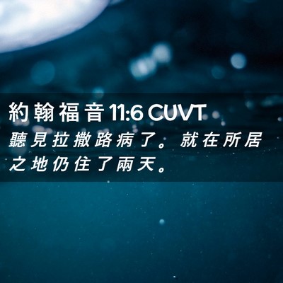 Picture 02 - 約 翰 福 音 11:6 CUVT - 聽 見 拉 撒 路 病 了 。 就 在 所 居 - Bible Verse Picture