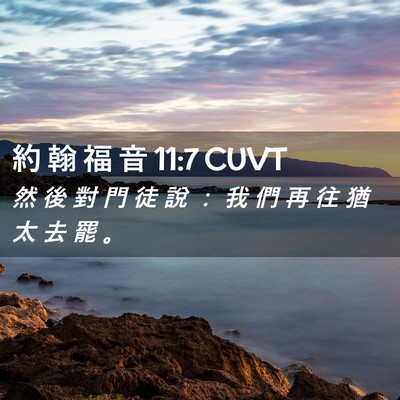 Picture 02 - 約 翰 福 音 11:7 CUVT - 然 後 對 門 徒 說 ： 我 們 再 往 猶 - Bible Verse Picture