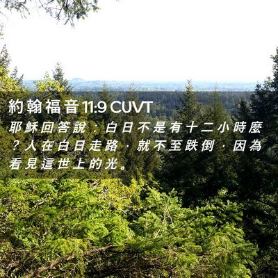 Picture 02 - 約 翰 福 音 11:9 CUVT - 耶 穌 回 答 說 ： 白 日 不 是 有 十 - Bible Verse Picture