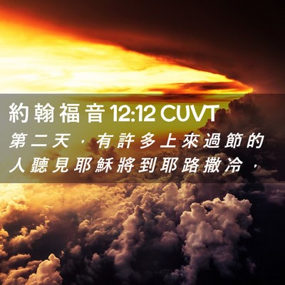 Picture 02 - 約 翰 福 音 12:12 CUVT - 第 二 天 ， 有 許 多 上 來 過 節 的 - Bible Verse Picture