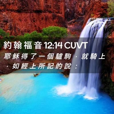 Picture 02 - 約 翰 福 音 12:14 CUVT - 耶 穌 得 了 一 個 驢 駒 ， 就 騎 上 - Bible Verse Picture