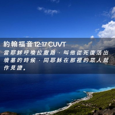 Picture 02 - 約 翰 福 音 12:17 CUVT - 當 耶 穌 呼 喚 拉 撒 路 ， 叫 他 從 - Bible Verse Picture