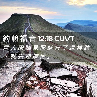 Picture 02 - 約 翰 福 音 12:18 CUVT - 眾 人 因 聽 見 耶 穌 行 了 這 神 蹟 - Bible Verse Picture
