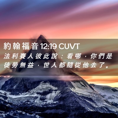 Picture 02 - 約 翰 福 音 12:19 CUVT - 法 利 賽 人 彼 此 說 ： 看 哪 ， 你 - Bible Verse Picture