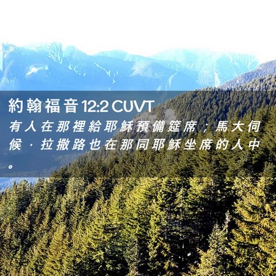 Picture 02 - 約 翰 福 音 12:2 CUVT - 有 人 在 那 裡 給 耶 穌 預 備 筵 席 - Bible Verse Picture