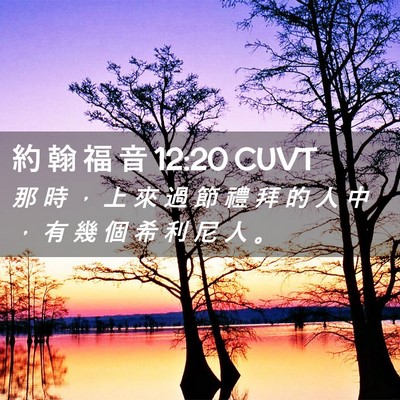 Picture 02 - 約 翰 福 音 12:20 CUVT - 那 時 ， 上 來 過 節 禮 拜 的 人 中 - Bible Verse Picture