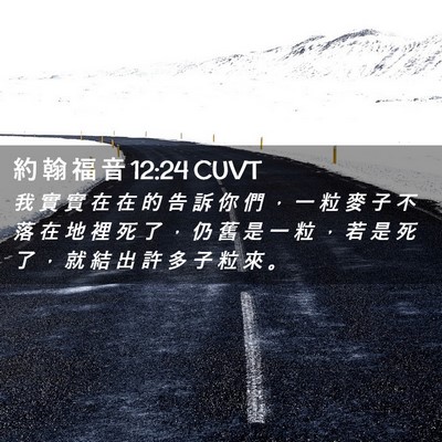 Picture 02 - 約 翰 福 音 12:24 CUVT - 我 實 實 在 在 的 告 訴 你 們 ， 一 - Bible Verse Picture
