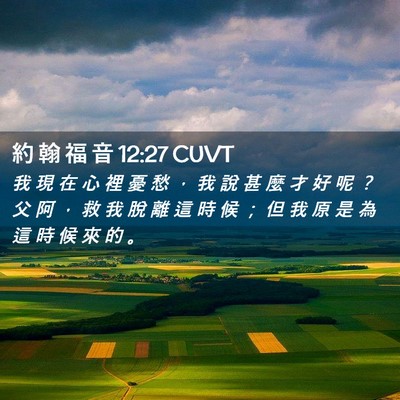 Picture 02 - 約 翰 福 音 12:27 CUVT - 我 現 在 心 裡 憂 愁 ， 我 說 甚 麼 - Bible Verse Picture