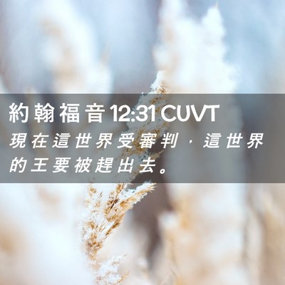 Picture 02 - 約 翰 福 音 12:31 CUVT - 現 在 這 世 界 受 審 判 ， 這 世 界 - Bible Verse Picture