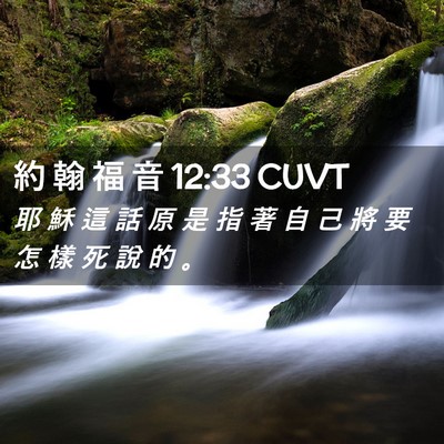 Picture 02 - 約 翰 福 音 12:33 CUVT - 耶 穌 這 話 原 是 指 著 自 己 將 要 - Bible Verse Picture