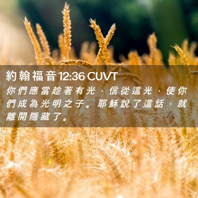 Picture 02 - 約 翰 福 音 12:36 CUVT - 你 們 應 當 趁 著 有 光 ， 信 從 這 - Bible Verse Picture