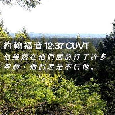 Picture 02 - 約 翰 福 音 12:37 CUVT - 他 雖 然 在 他 們 面 前 行 了 許 多 - Bible Verse Picture