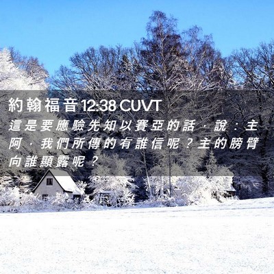 Picture 02 - 約 翰 福 音 12:38 CUVT - 這 是 要 應 驗 先 知 以 賽 亞 的 話 - Bible Verse Picture