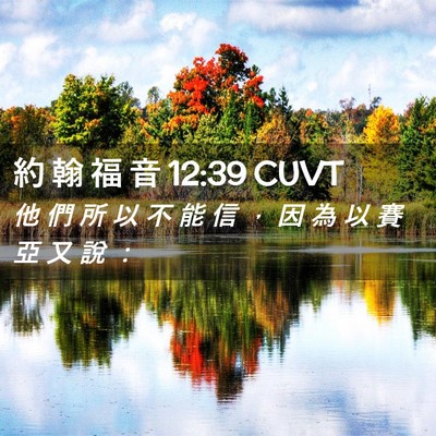 Picture 02 - 約 翰 福 音 12:39 CUVT - 他 們 所 以 不 能 信 ， 因 為 以 賽 - Bible Verse Picture