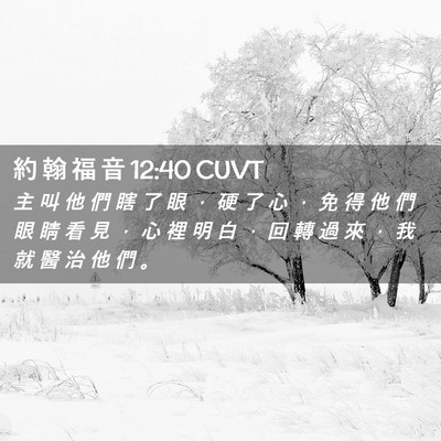Picture 02 - 約 翰 福 音 12:40 CUVT - 主 叫 他 們 瞎 了 眼 ， 硬 了 心 ， - Bible Verse Picture