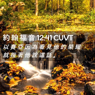 Picture 02 - 約 翰 福 音 12:41 CUVT - 以 賽 亞 因 為 看 見 他 的 榮 耀 ， - Bible Verse Picture