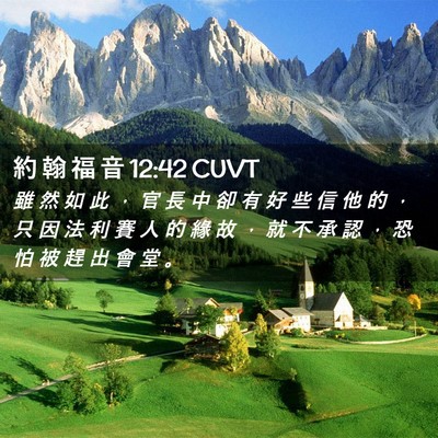 Picture 02 - 約 翰 福 音 12:42 CUVT - 雖 然 如 此 ， 官 長 中 卻 有 好 些 - Bible Verse Picture