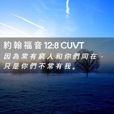 Picture 02 - 約 翰 福 音 12:8 CUVT - 因 為 常 有 窮 人 和 你 們 同 在 ， - Bible Verse Picture