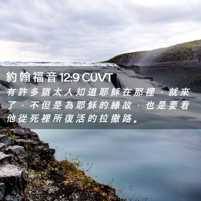 Picture 02 - 約 翰 福 音 12:9 CUVT - 有 許 多 猶 太 人 知 道 耶 穌 在 那 - Bible Verse Picture