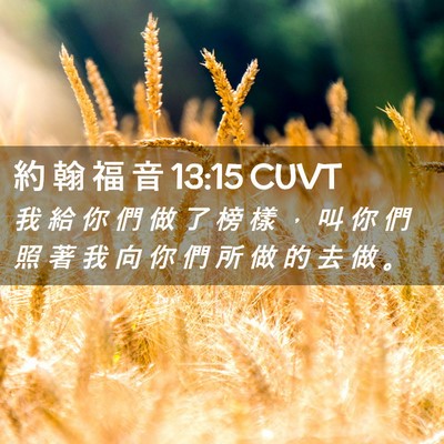 Picture 02 - 約 翰 福 音 13:15 CUVT - 我 給 你 們 做 了 榜 樣 ， 叫 你 們 - Bible Verse Picture