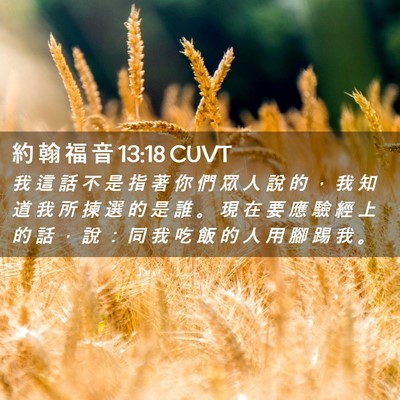 Picture 02 - 約 翰 福 音 13:18 CUVT - 我 這 話 不 是 指 著 你 們 眾 人 說 - Bible Verse Picture