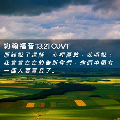 Picture 02 - 約 翰 福 音 13:21 CUVT - 耶 穌 說 了 這 話 ， 心 裡 憂 愁 ， - Bible Verse Picture