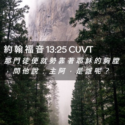 Picture 02 - 約 翰 福 音 13:25 CUVT - 那 門 徒 便 就 勢 靠 著 耶 穌 的 胸 - Bible Verse Picture