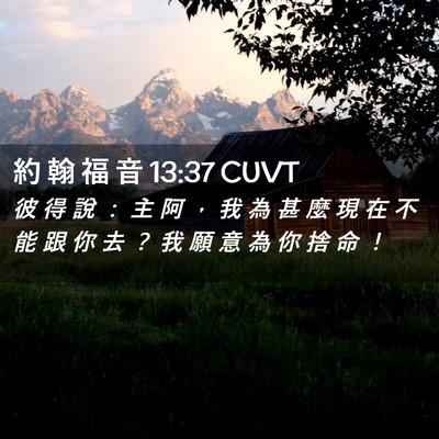 Picture 02 - 約 翰 福 音 13:37 CUVT - 彼 得 說 ： 主 阿 ， 我 為 甚 麼 現 - Bible Verse Picture