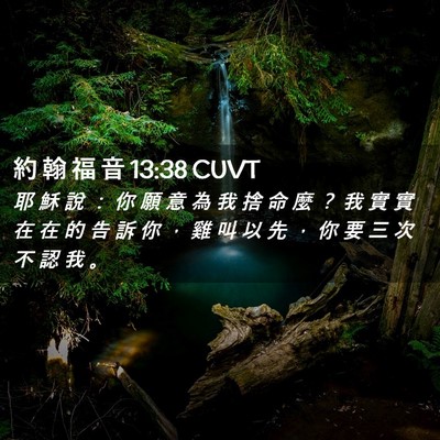 Picture 02 - 約 翰 福 音 13:38 CUVT - 耶 穌 說 ： 你 願 意 為 我 捨 命 麼 - Bible Verse Picture
