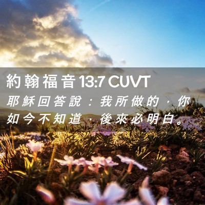 Picture 02 - 約 翰 福 音 13:7 CUVT - 耶 穌 回 答 說 ： 我 所 做 的 ， 你 - Bible Verse Picture