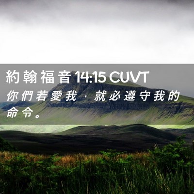 Picture 02 - 約 翰 福 音 14:15 CUVT - 你 們 若 愛 我 ， 就 必 遵 守 我 的 - Bible Verse Picture