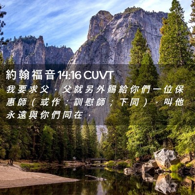 Picture 02 - 約 翰 福 音 14:16 CUVT - 我 要 求 父 ， 父 就 另 外 賜 給 你 - Bible Verse Picture