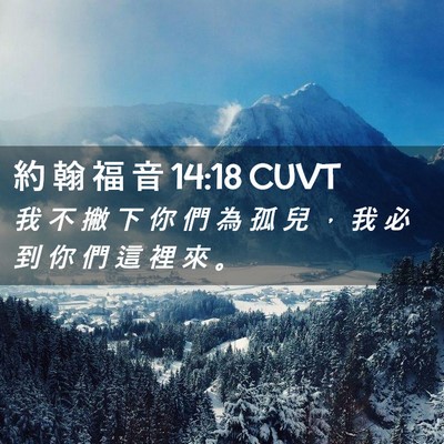 Picture 02 - 約 翰 福 音 14:18 CUVT - 我 不 撇 下 你 們 為 孤 兒 ， 我 必 - Bible Verse Picture