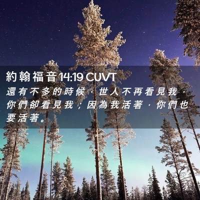 Picture 02 - 約 翰 福 音 14:19 CUVT - 還 有 不 多 的 時 候 ， 世 人 不 再 - Bible Verse Picture
