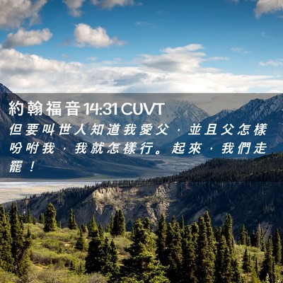 Picture 02 - 約 翰 福 音 14:31 CUVT - 但 要 叫 世 人 知 道 我 愛 父 ， 並 - Bible Verse Picture